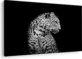 Kép - Leopárd (90x60 cm)