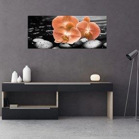 Kép - Narancssárga orchideák (120x50 cm)