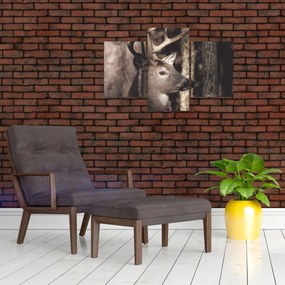 Kép - Szarvas az erdőben (90x60 cm)