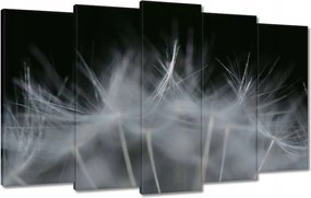 Vászonkép 100x60 Pitypang Virág Virágok