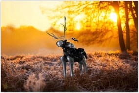 Poszterek 120x80 Chopper az erdőn