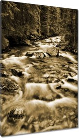 Vászonkép 80x120 Tátra Lengyel hegyek Kilátás