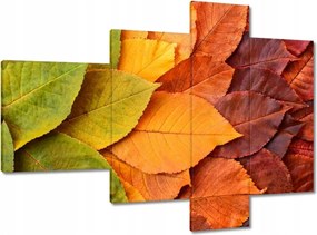 Vászonkép 100x70 Őszi színes levelek Levelek az ősz színeiben