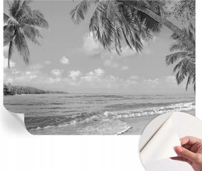 Dekoratív öntapadós fotótapéta irodába Trópusi paradicsom 312x219 cm