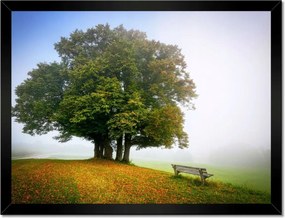 Poszterek keretben 40x30 Tájkép paddal Fa