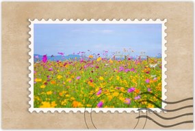 Poszterek 90x60 Virágok tengere Virágok