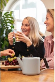 Bézs rozsdamentes acél teáskanna 1,1 l Duet Boston – Bredemeijer