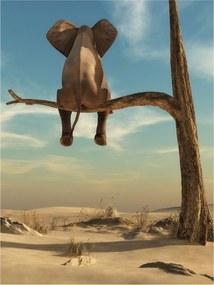 Fotótapéta Elefánt fa és szavanna etnikai 206x275 otthonra és irodába +ragasztó