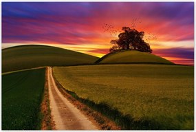 Poszterek 120x80 Naplemente Hegyek Fa