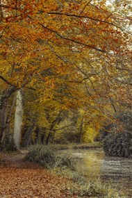 Poszter 40x60cm Ösvény a csatornánál, Assaf Frank