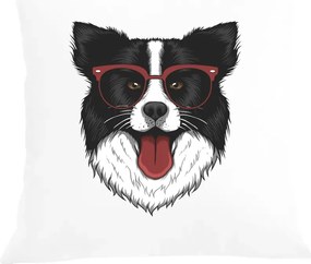 Párna párnahuzat Border Collie Kutya mintás