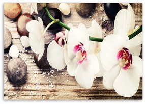 Gario Vászonkép Fehér zen orchidea Méret: 100 x 70 cm