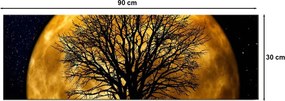 Vászonkép, 30×90 cm – 3090DACT-71