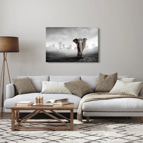 Kép -Elefánt egy nagyvárosban, fekete-fehér változat (90x60 cm)