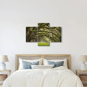 Kép - Oaks Avenue, Charleston, Dél-Karolina, Egyesült Államok (90x60 cm)