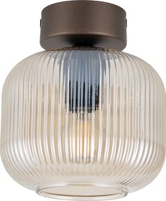 Salvia általános mennyezeti lámpa