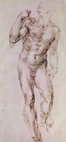 Michelangelo Buonarroti - Festmény reprodukció Sketch of David with his Sling, 1503-4, (23.3 x 50 cm)