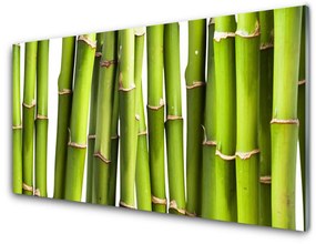 Fali üvegkép Bambusz növény természet 140x70 cm