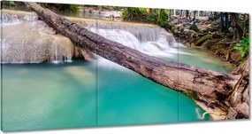 Festmények 180x90 Kidőlt fa