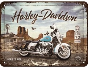 Fém tábla Harley Davidson - Born to Ride, (20 x 15 cm)