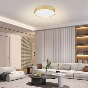 Brilagi - LED dimmelhető medencelámpa POOL LED/60W/230V 3000-6000K átm. 60 cm arany + távirányító