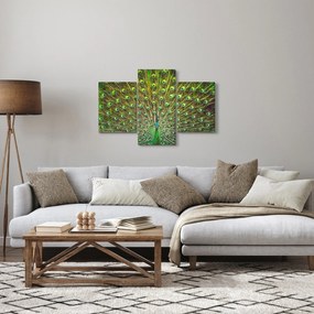 Kép - Páva (90x60 cm)