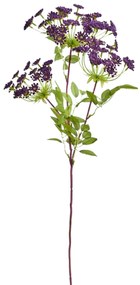 Művirág ANETHUM lila árnyalatok 75 cm