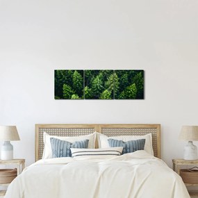 Kép - Forest (órával) (90x30 cm)
