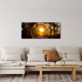 Kép - Átlátszó buborék (120x50 cm)