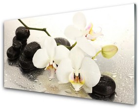 Üvegfotó Szép virág orchidea 120x60cm