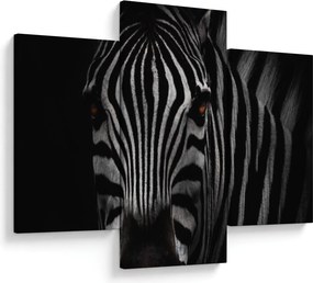 Zebra képe (90x60 cm)