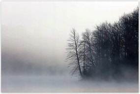 Poszterek 120x80 Ködös erdő Tél
