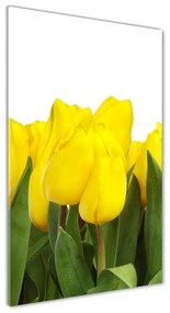 Egyedi üvegkép Sárga tulipánok osv-2665979