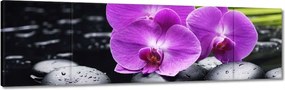 Vászonkép 170x50 Orchidea Valentin napra