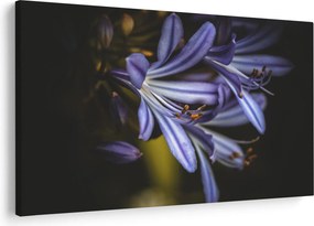 Kép - Lila (90x60 cm)