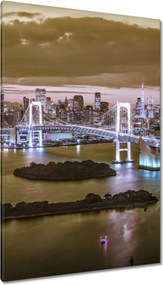 Vászonkép 80x120 Szivárványhíd Tokióban