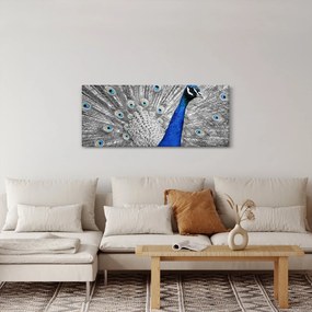 Kék páva képe (120x50 cm)