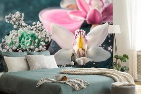 Öntapadó fotótapéta gyönyörű orchidea