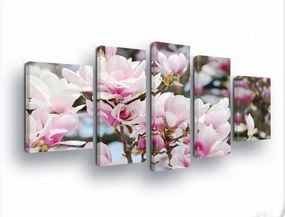 Vászonkép 170x100 Magnólia virágzás tavasz rózsaszín fehér virágok természet
