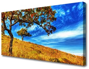 Vászonkép Fa Mező Természet Plant 100x50 cm