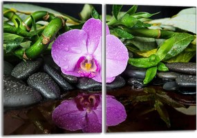 Üveg védőlap tűzhelyhez 40x52 Orchidea a Konyhába