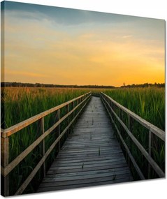 Vászonkép 40x40 Tájkép Naplemente