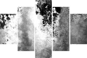 Kép - Kikeltetés (150x105 cm)