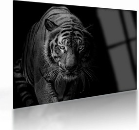 Egy vadtigris képe (üvegen) (70x50 cm)