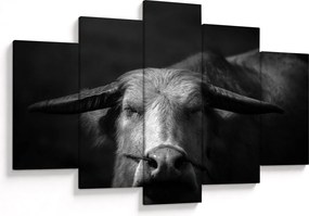 Kép - Tehén (150x105 cm)
