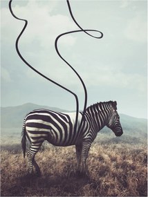 Fotótapéta Zebra absztrakt geometria Afrikai minimalizmus 184x254 +ragasztó