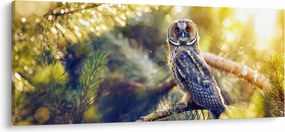 Egy bagoly képe a fán (120x50 cm)