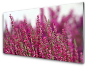 Akrilkép Virág Meadow Nature Plant 100x50 cm 2 fogas