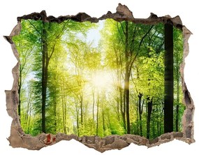 3d-s lyuk vizuális effektusok matrica Forest a nap nd-k-82972458