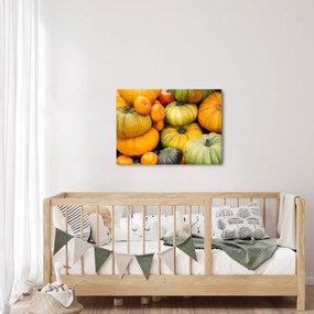 Kép - Őszi sütőtök (70x50 cm)